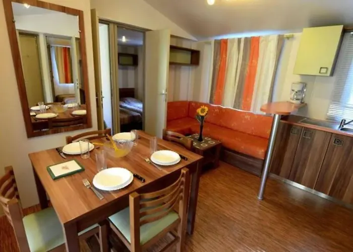 Mobil Avec Terrasse - 3 Chambres, 6 Personnes - Api-1-52-896 Saint-Rome-de-Tarn